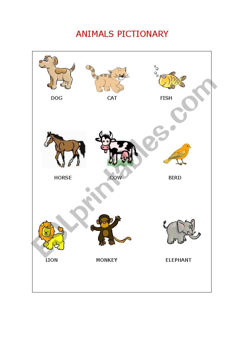 Animals pictionary worksheet