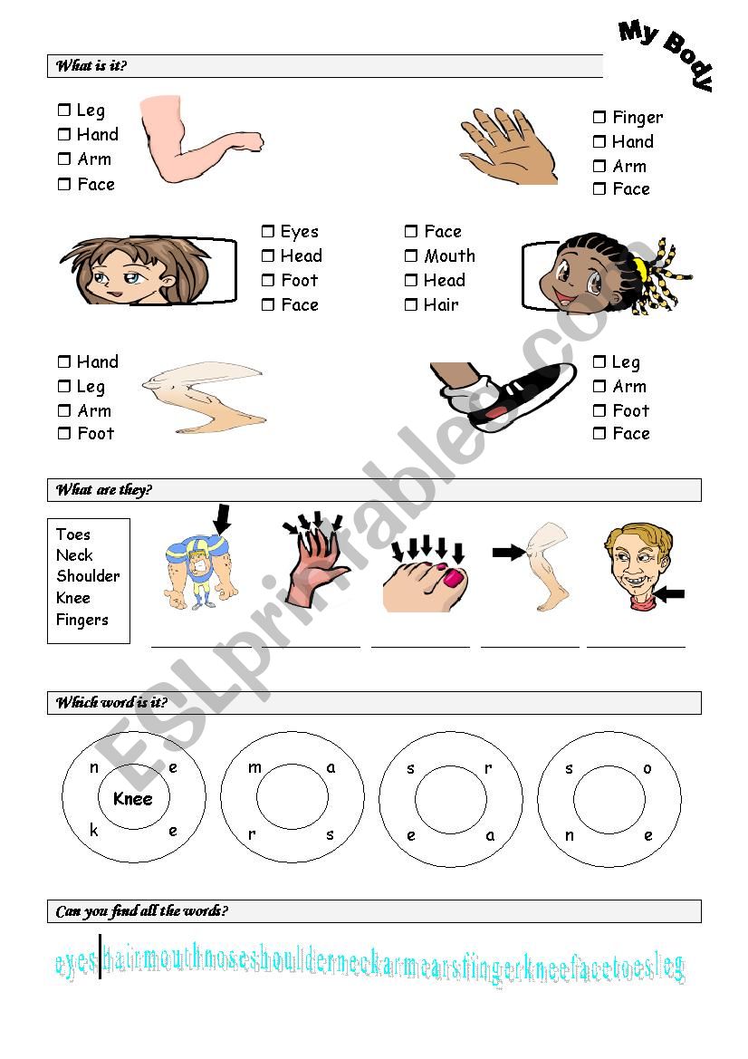 body parts worksheet