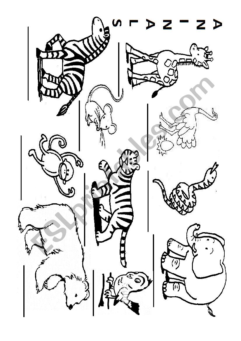 Animals worksheet