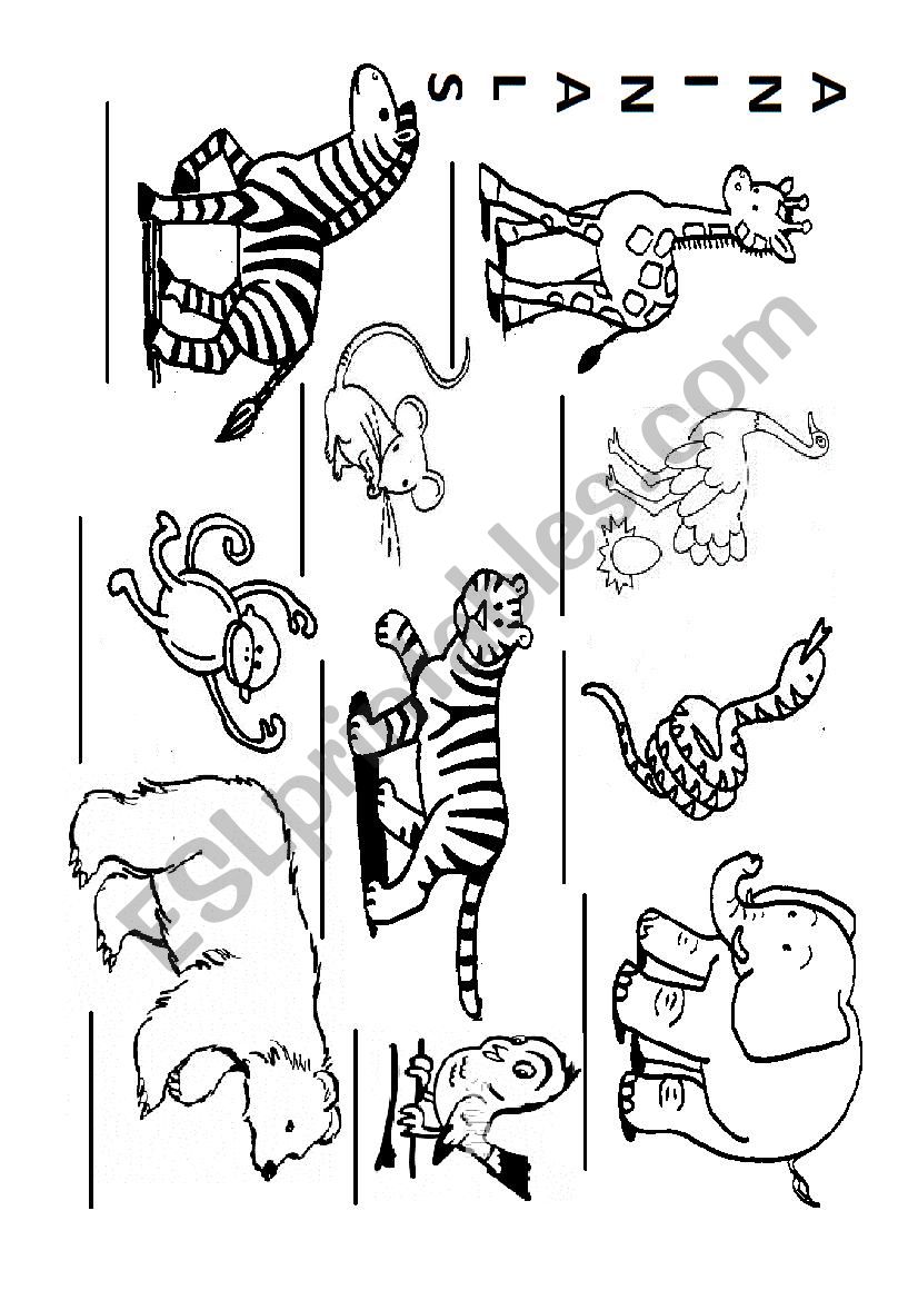 Animals worksheet