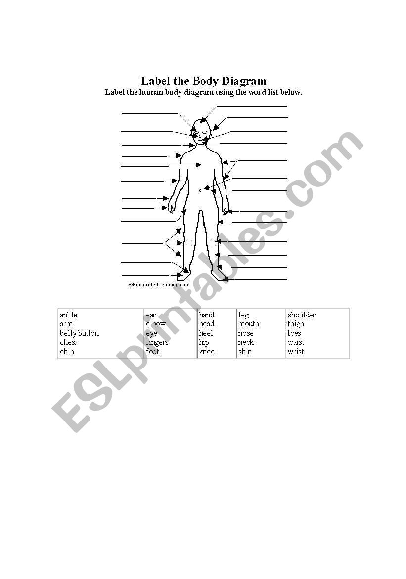 label of Body Parts worksheet