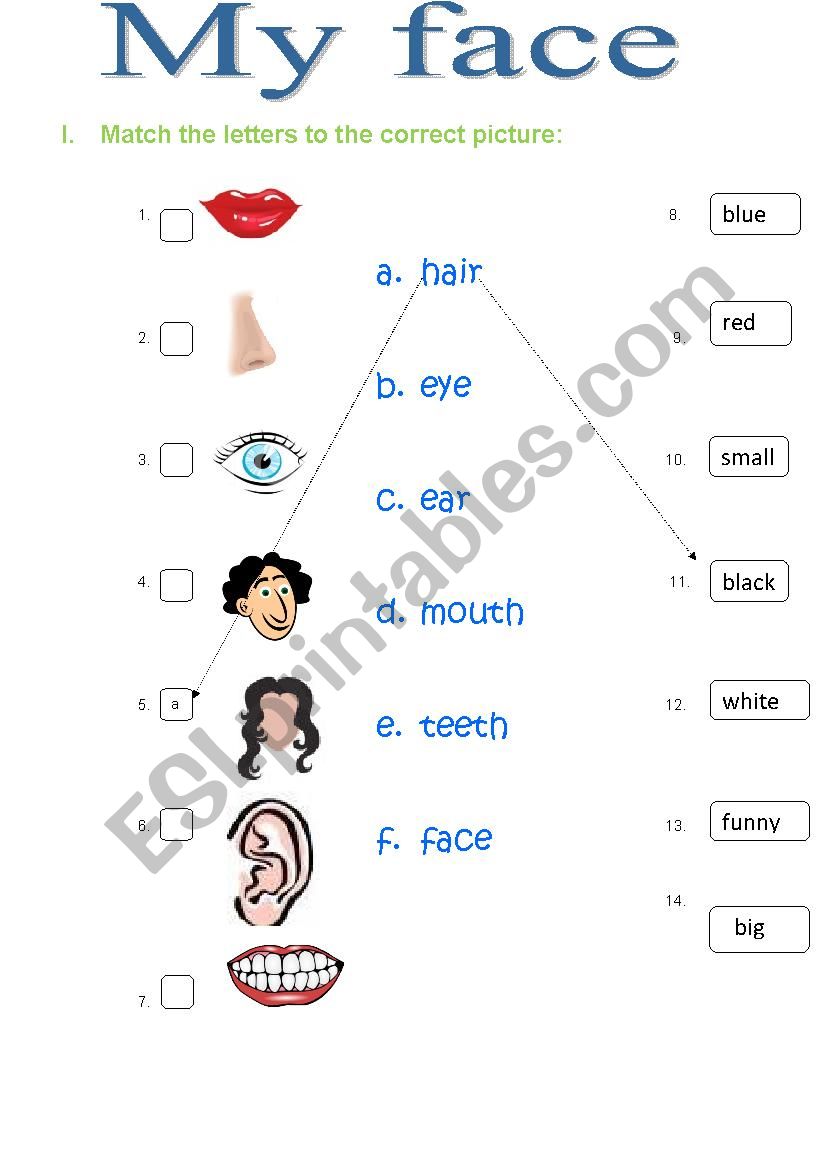 Body Parts (My face) / to be worksheet