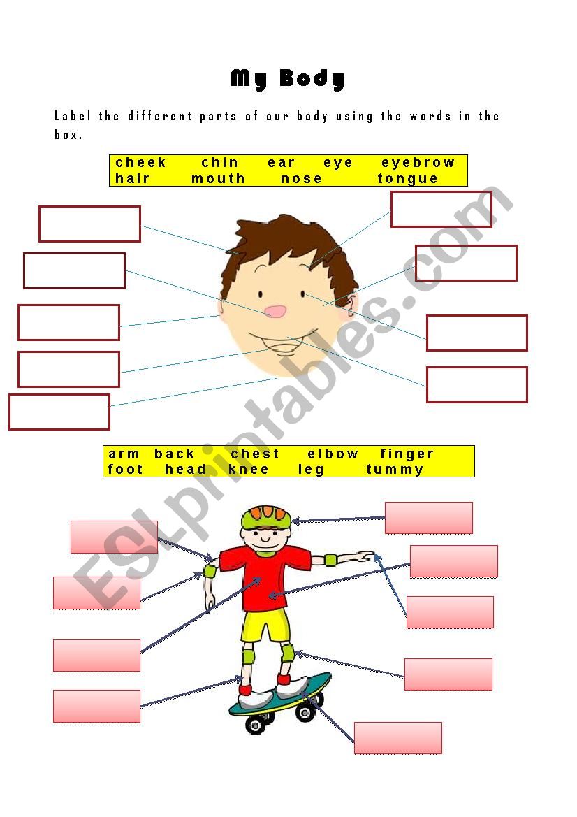 Parts of the Body worksheet