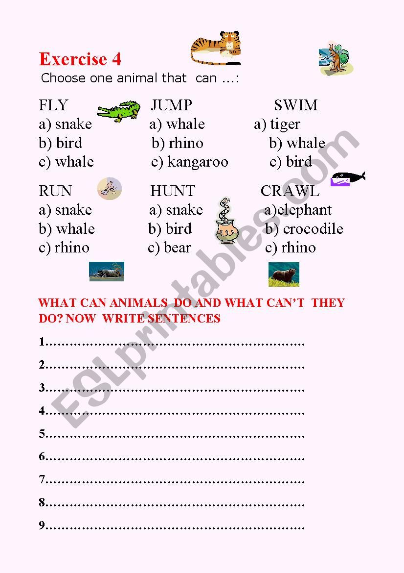 What can wild animals do? worksheet