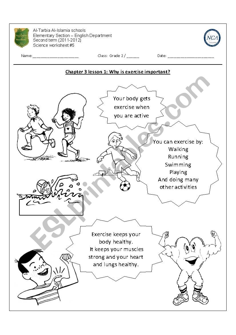 Why is exercise important? worksheet