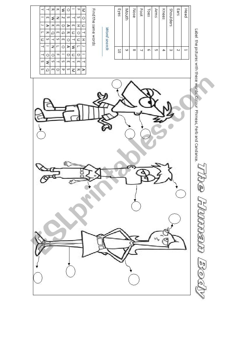 Phineas and Ferb Body worksheet