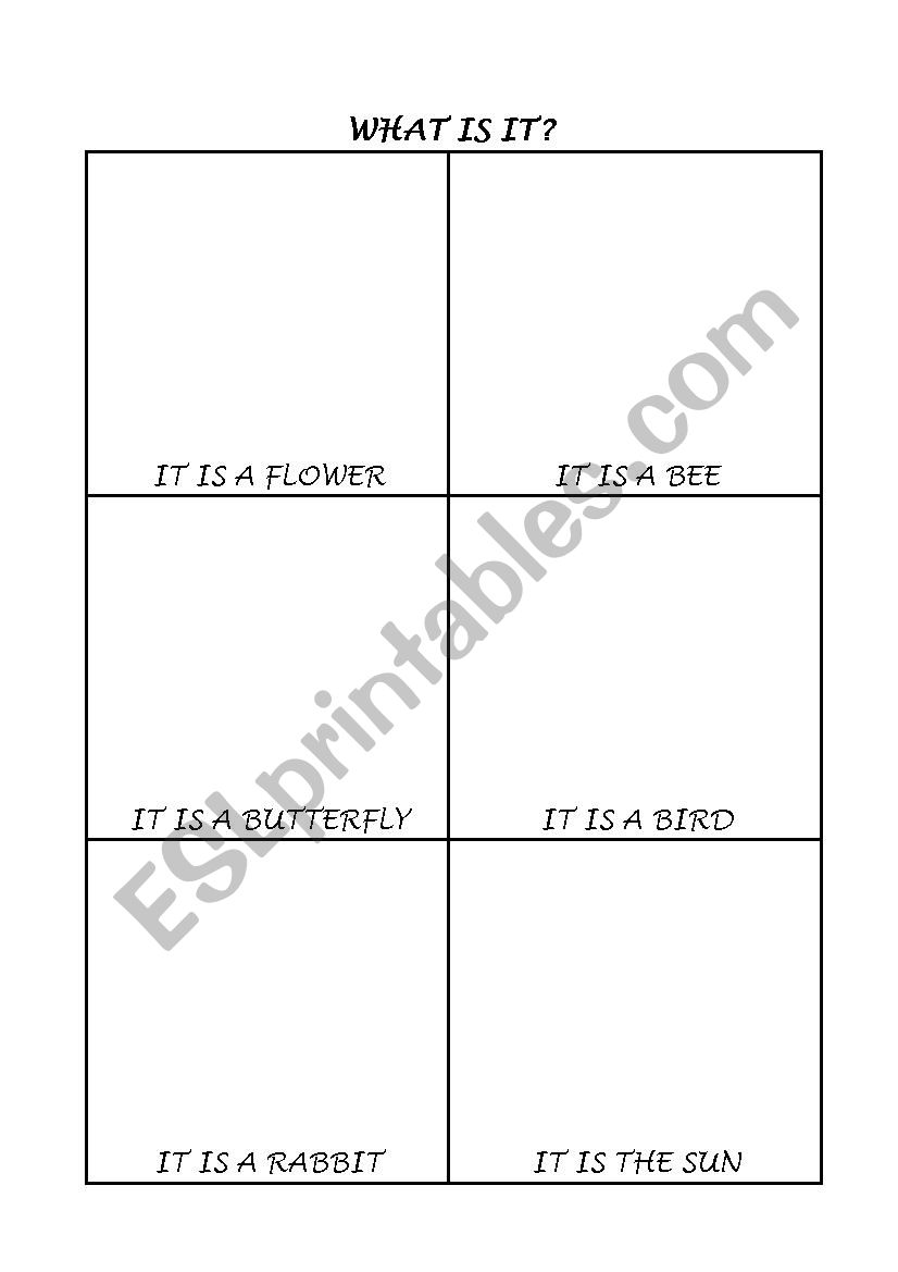 Spring worksheet