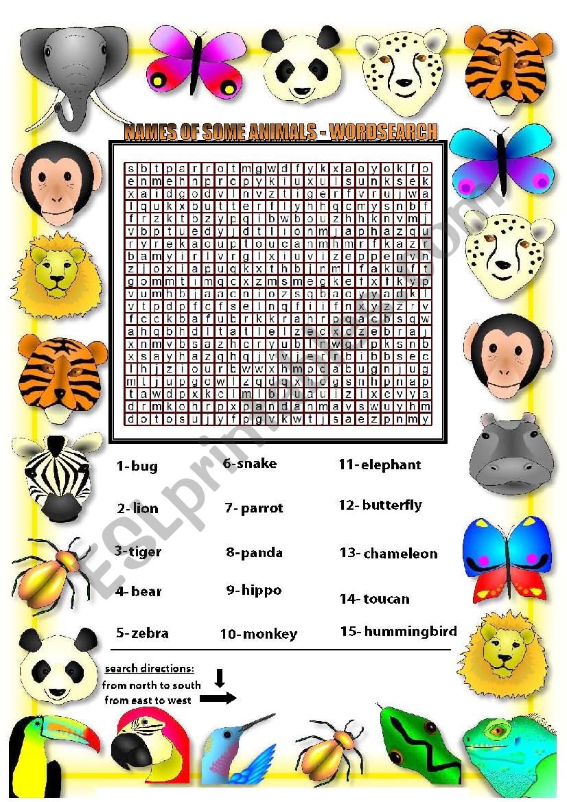 some animal names worksheet