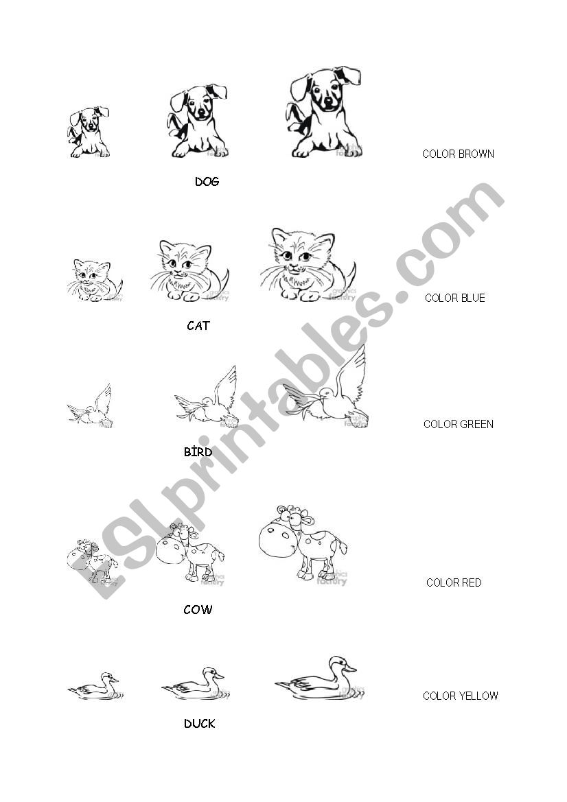 animals and colors worksheet