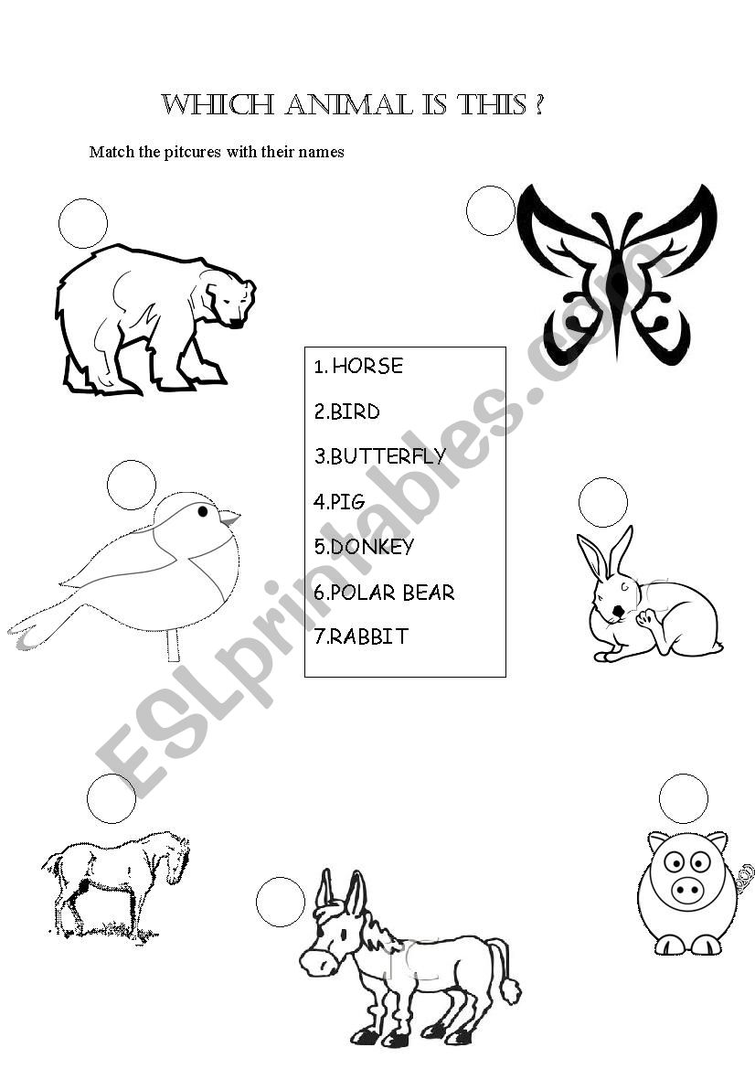 animals matching activity worksheet