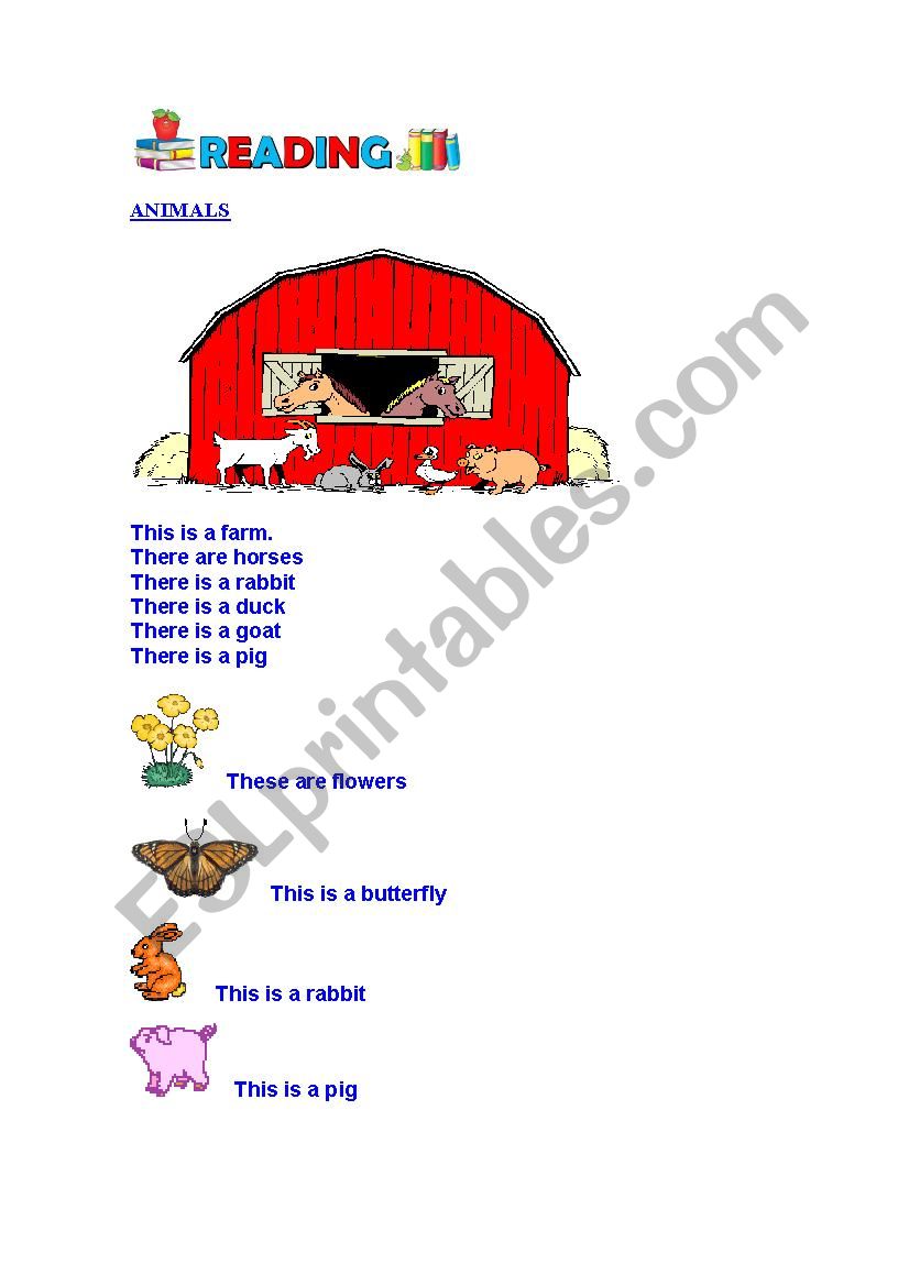 Animals worksheet