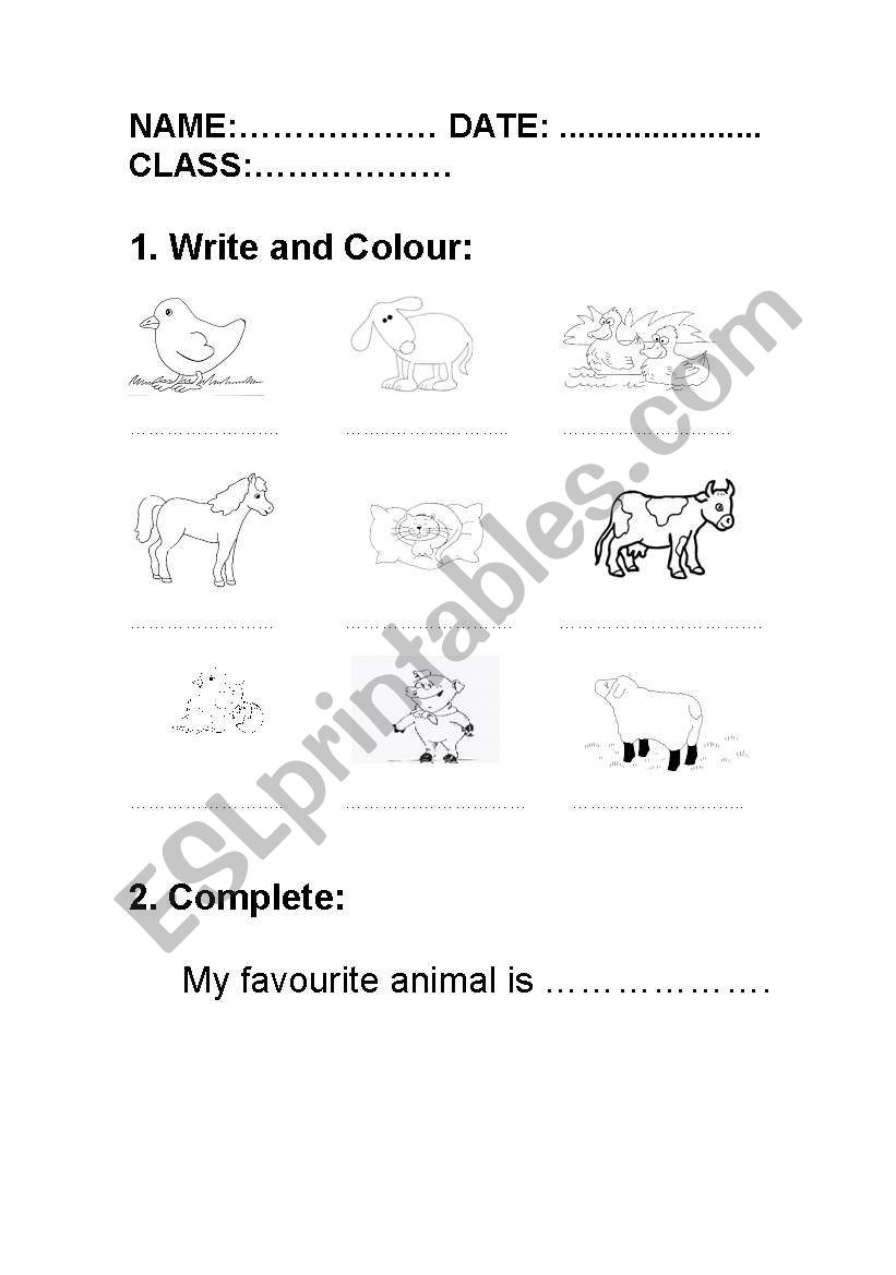 Animals worksheet worksheet