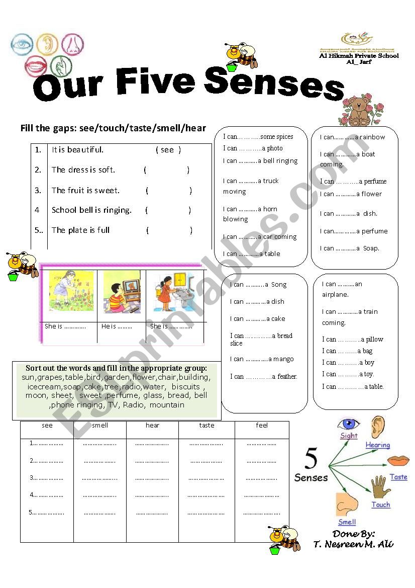 the five senses worksheet