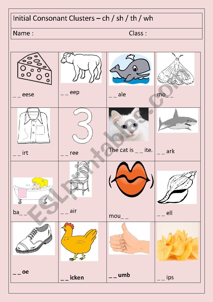 Initial Consonant Clusters worksheet