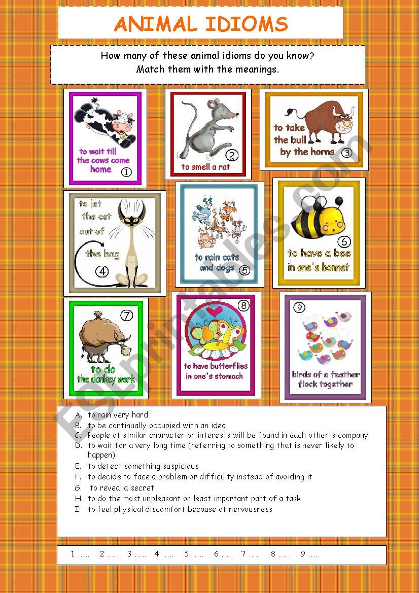 ANIMAL IDIOMS worksheet