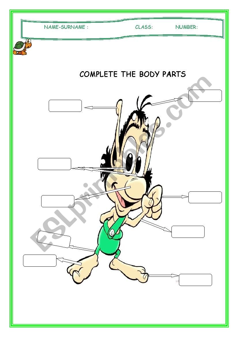 body parts worksheet