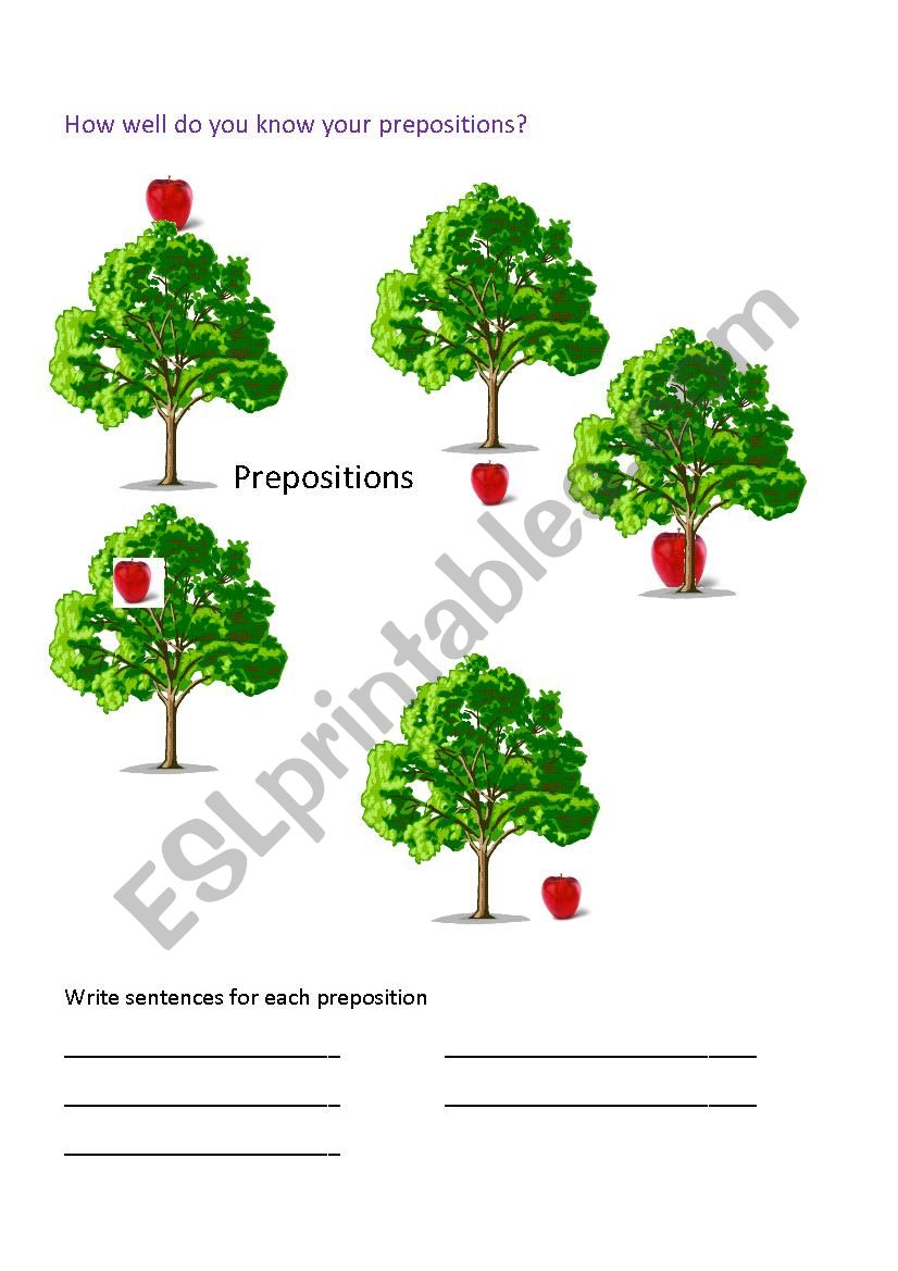 Prepositions worksheet