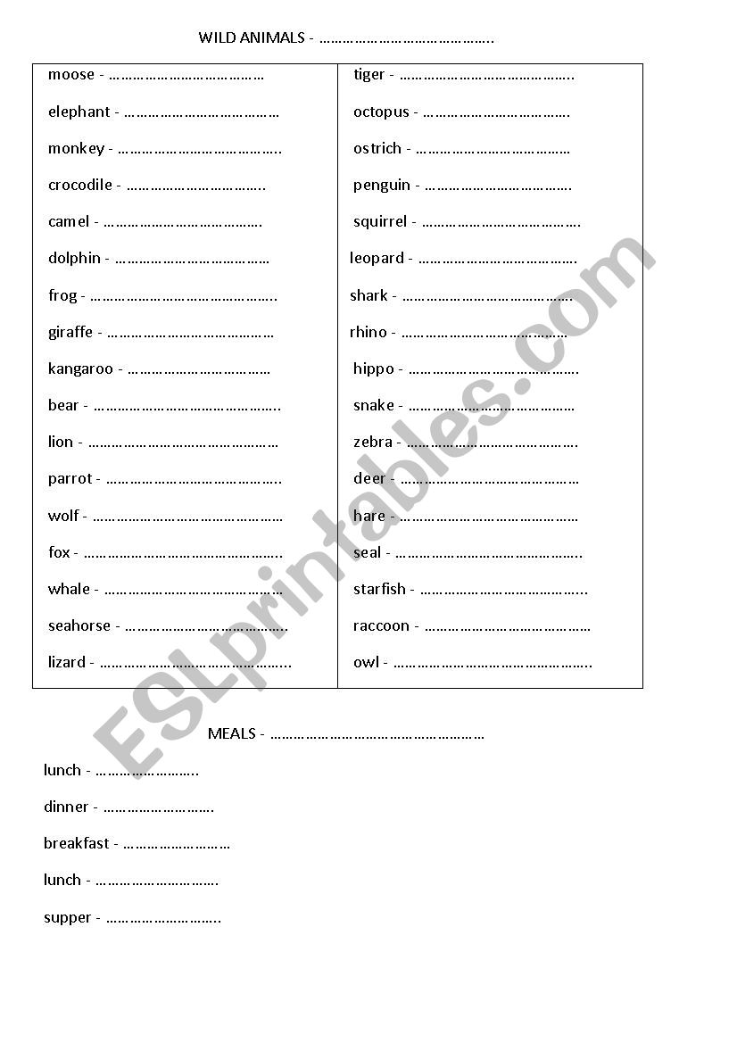 Wild animals worksheet