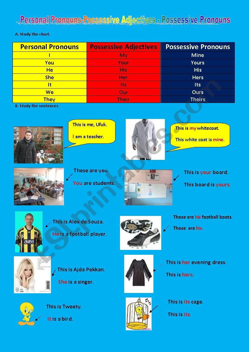 Personal Pronouns,Possessive Adjectives and Possesive Pronouns