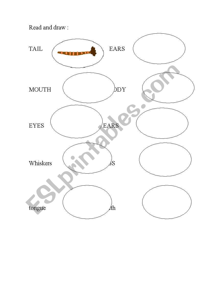 animals body parts: leg, tail, head, ears