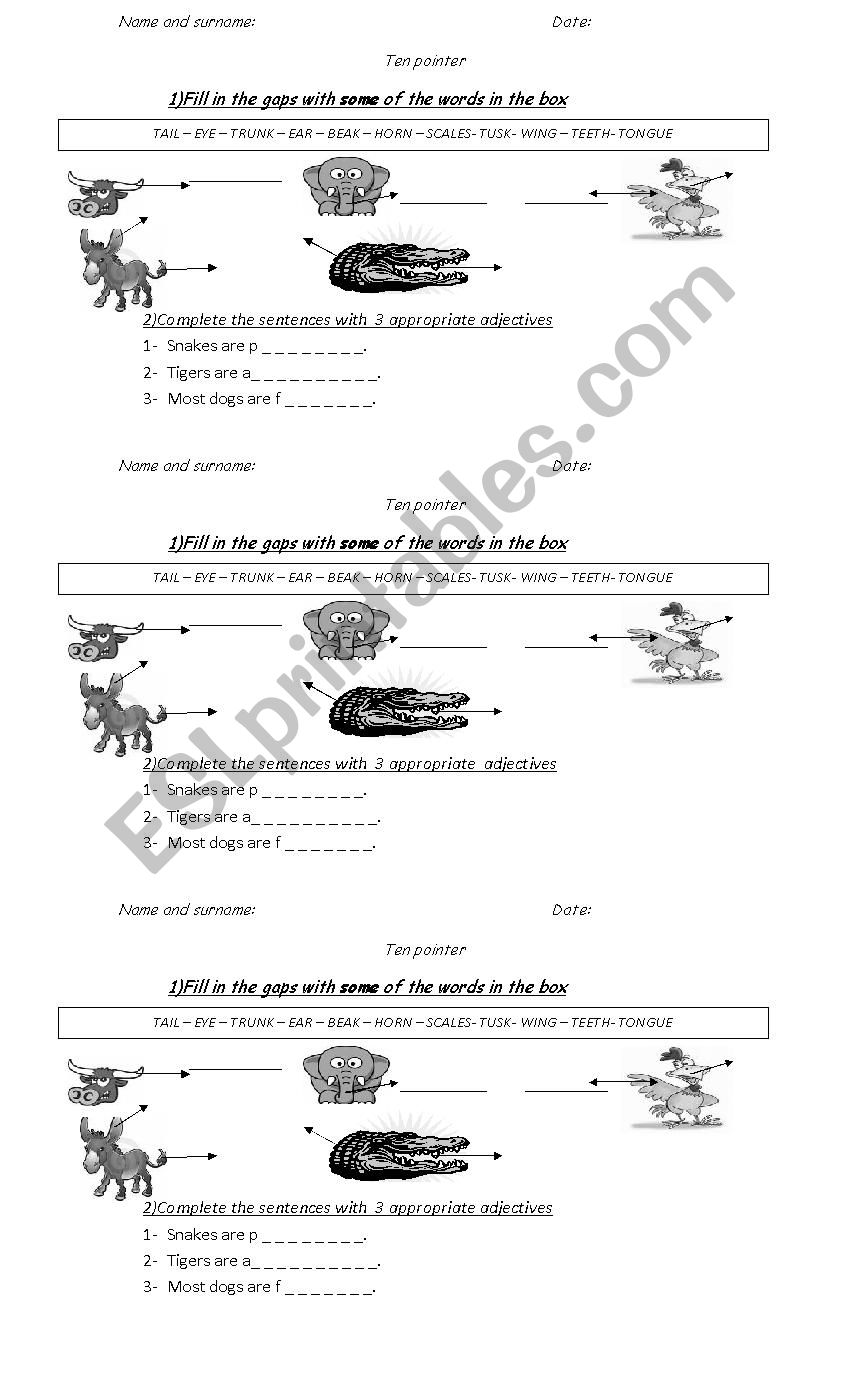 ANIMAL PARTS OF THE BODY worksheet