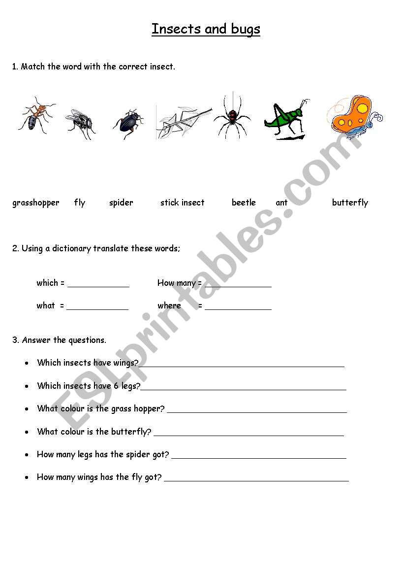 an introduction to question words using Insects learned in book 4 English Adventure