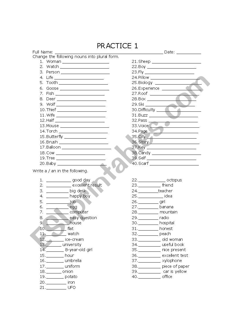 A / AN worksheet