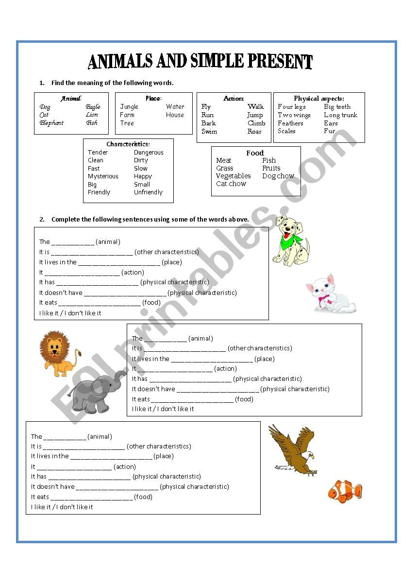 Animals and Simple Present worksheet