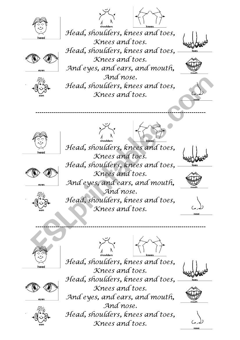 Head Shoulders Knees and Toes worksheet