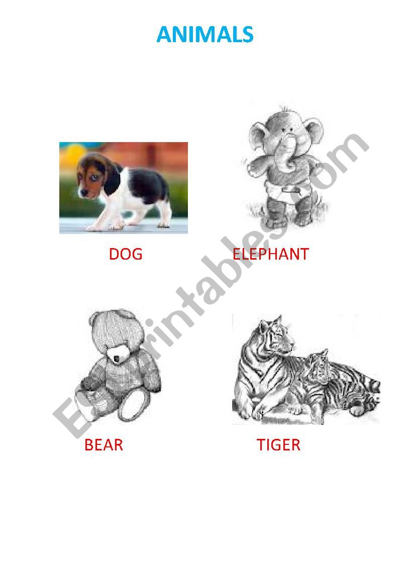 animals worksheet