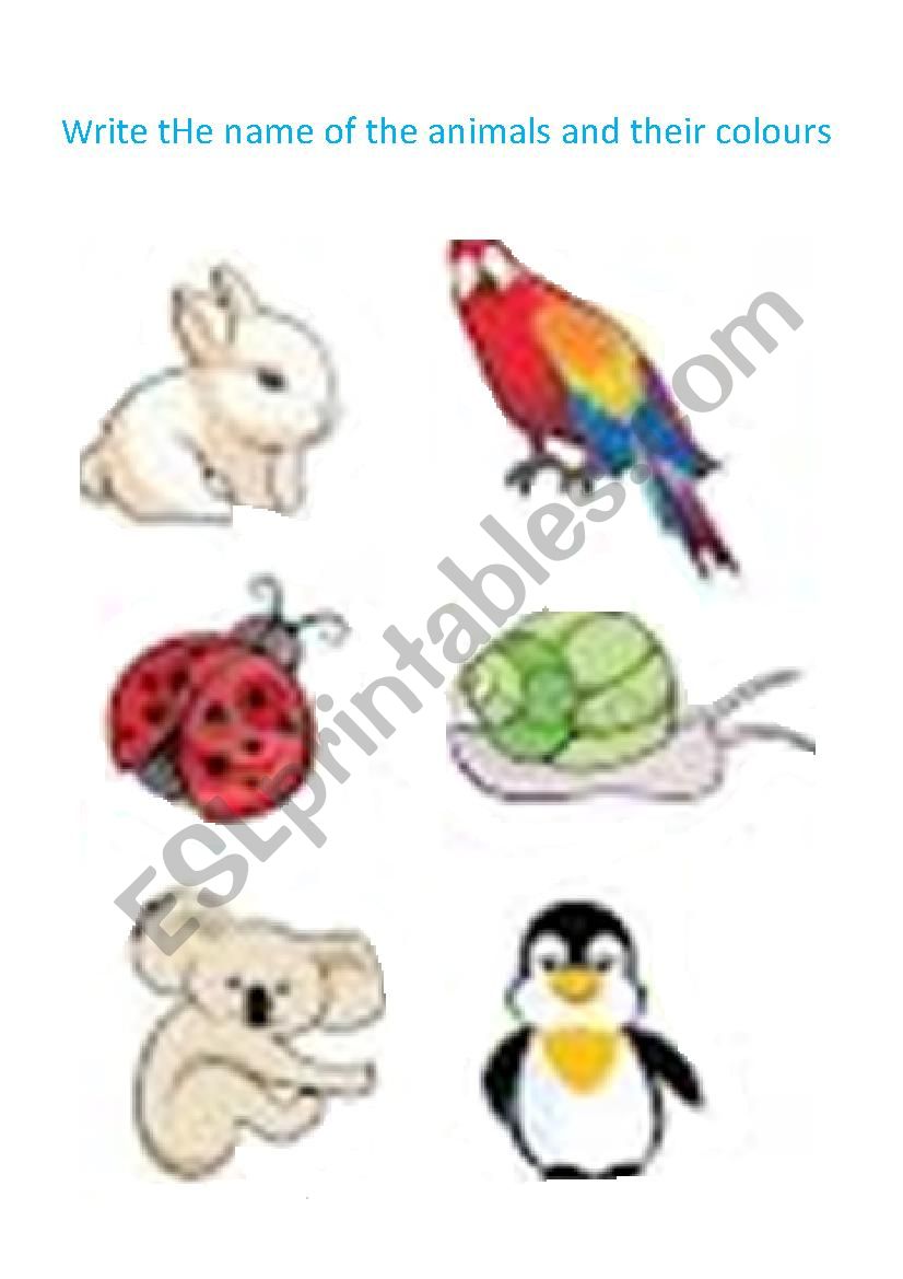 name the animals worksheet