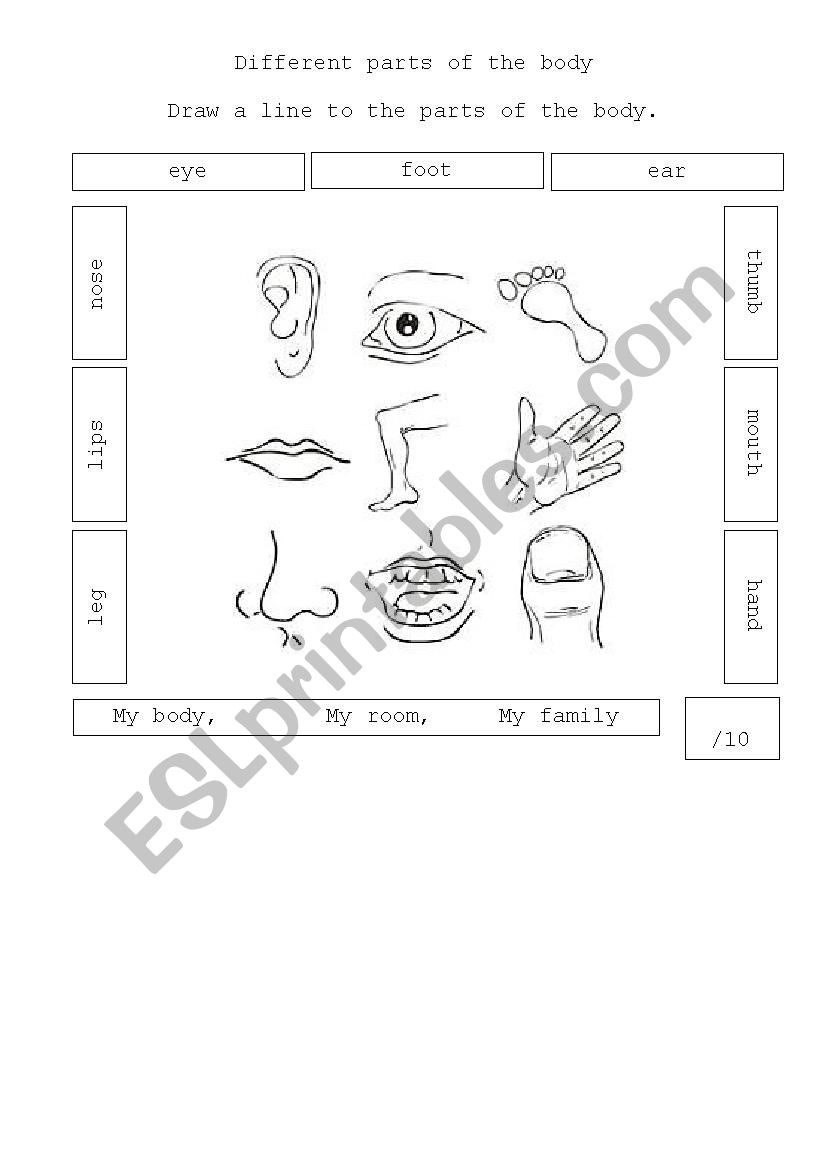 Body parts worksheet