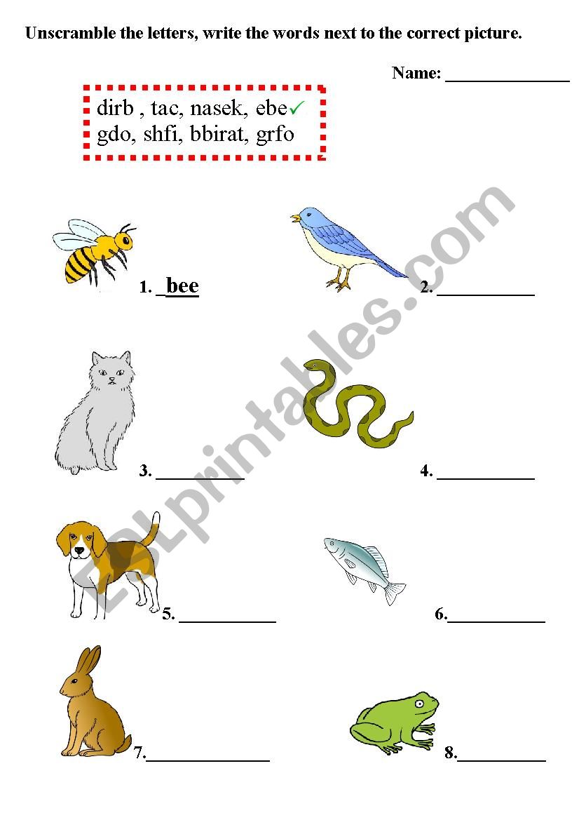 animals worksheet