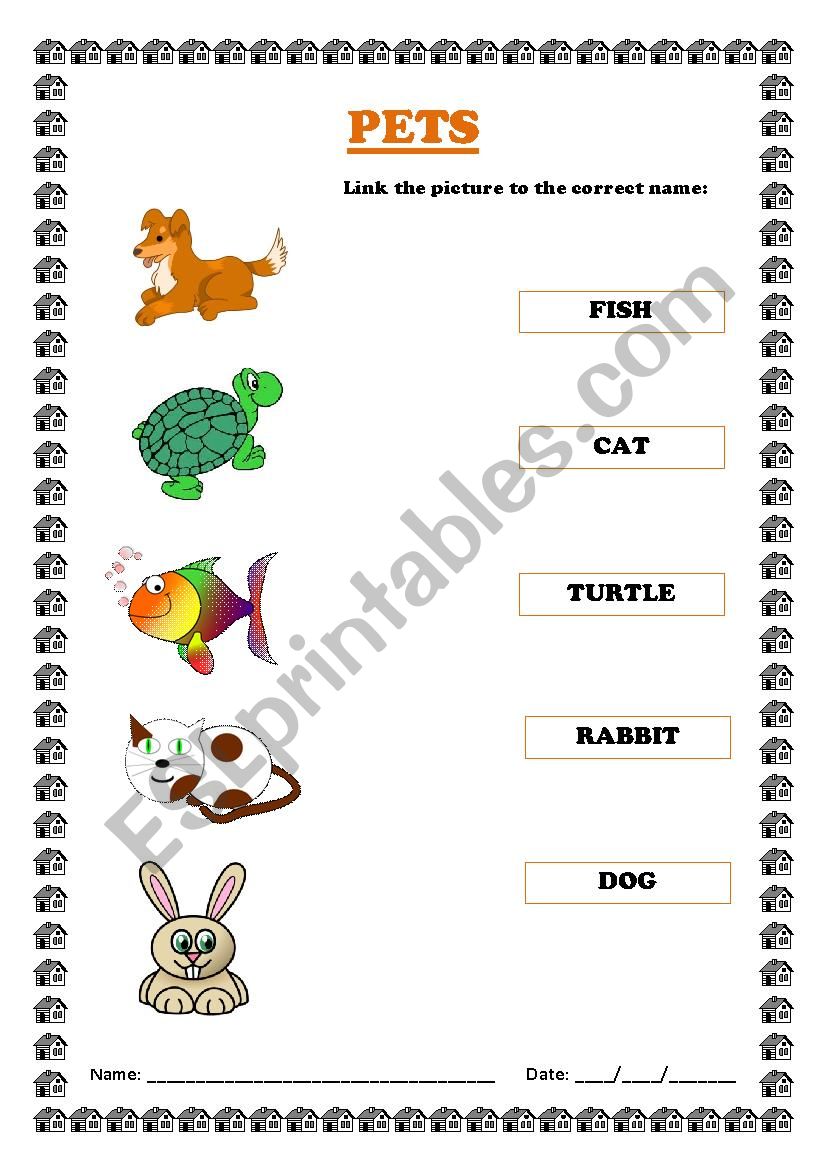 Pet Animals worksheet