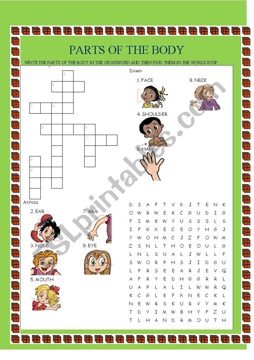 PARTS OF THE BODY CROSSWORD worksheet