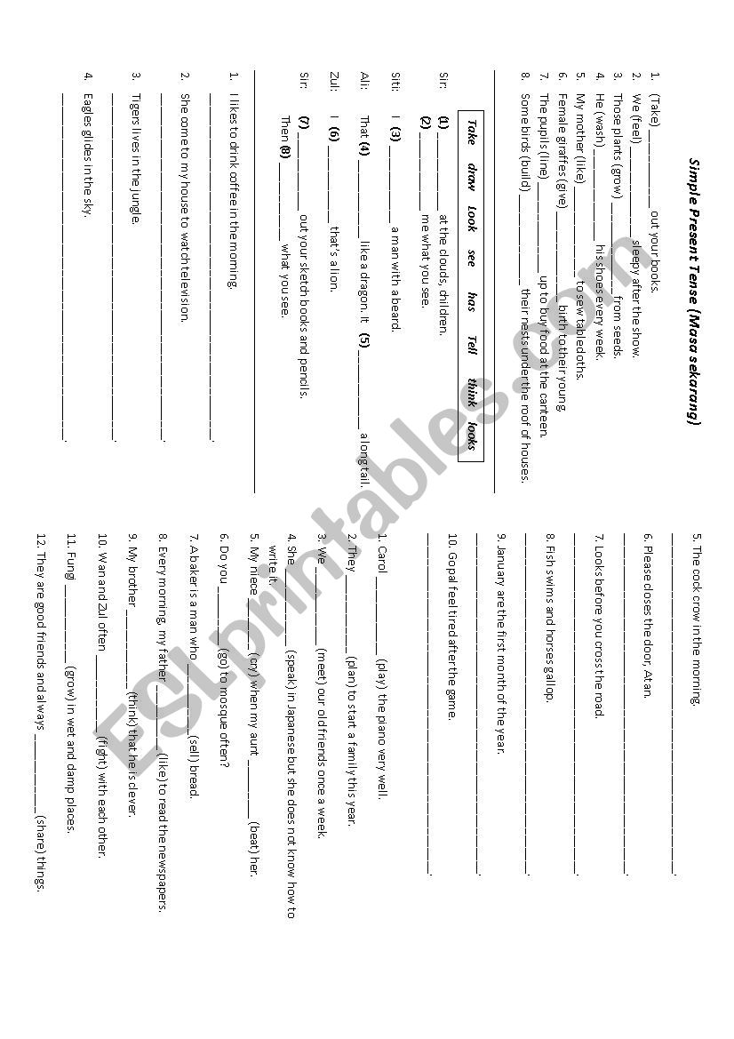 Simple Present Tense worksheet