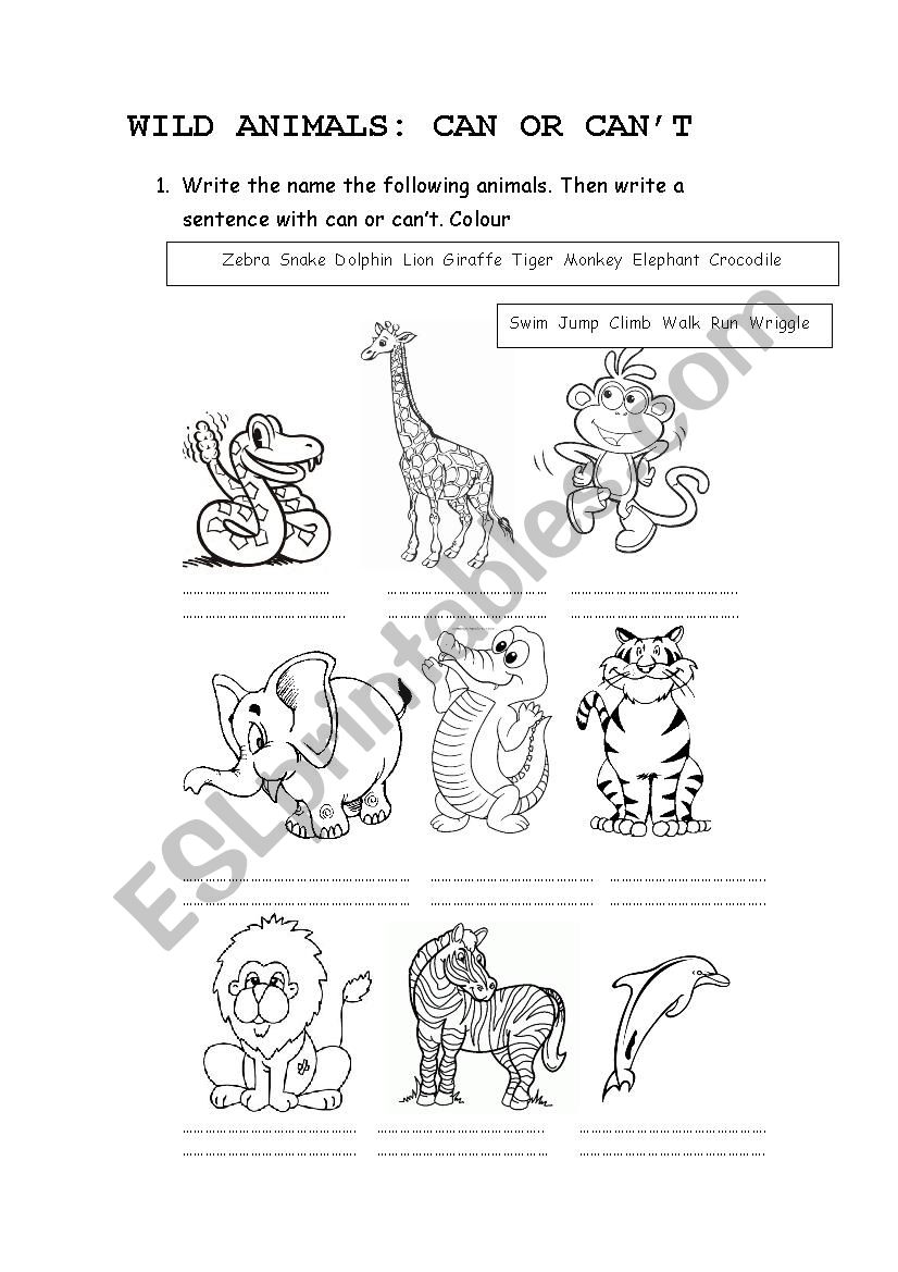 wild animals: can or cant worksheet