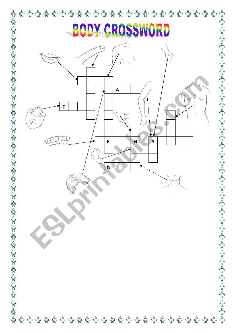 BODY CROSSWORD worksheet