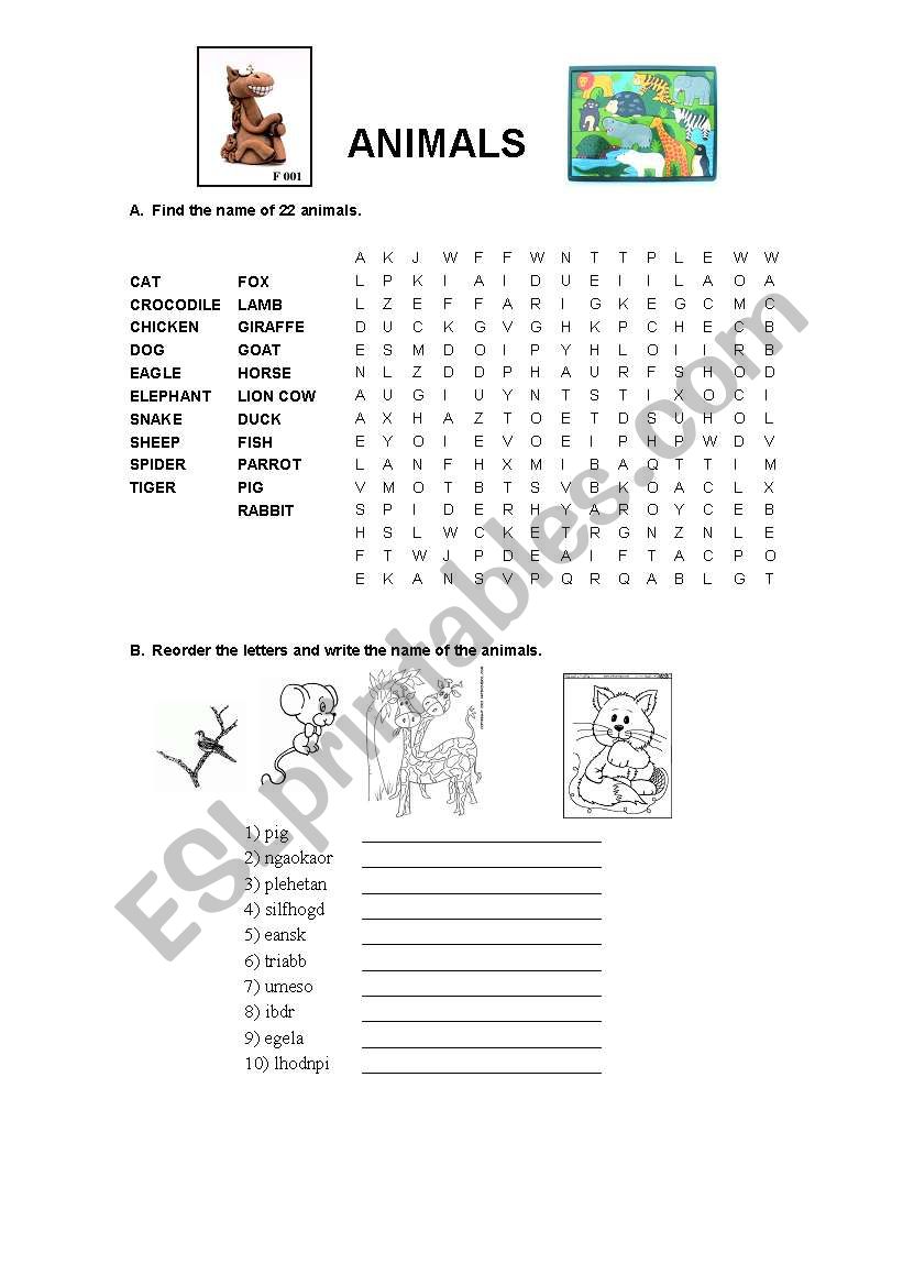 Animals worksheet