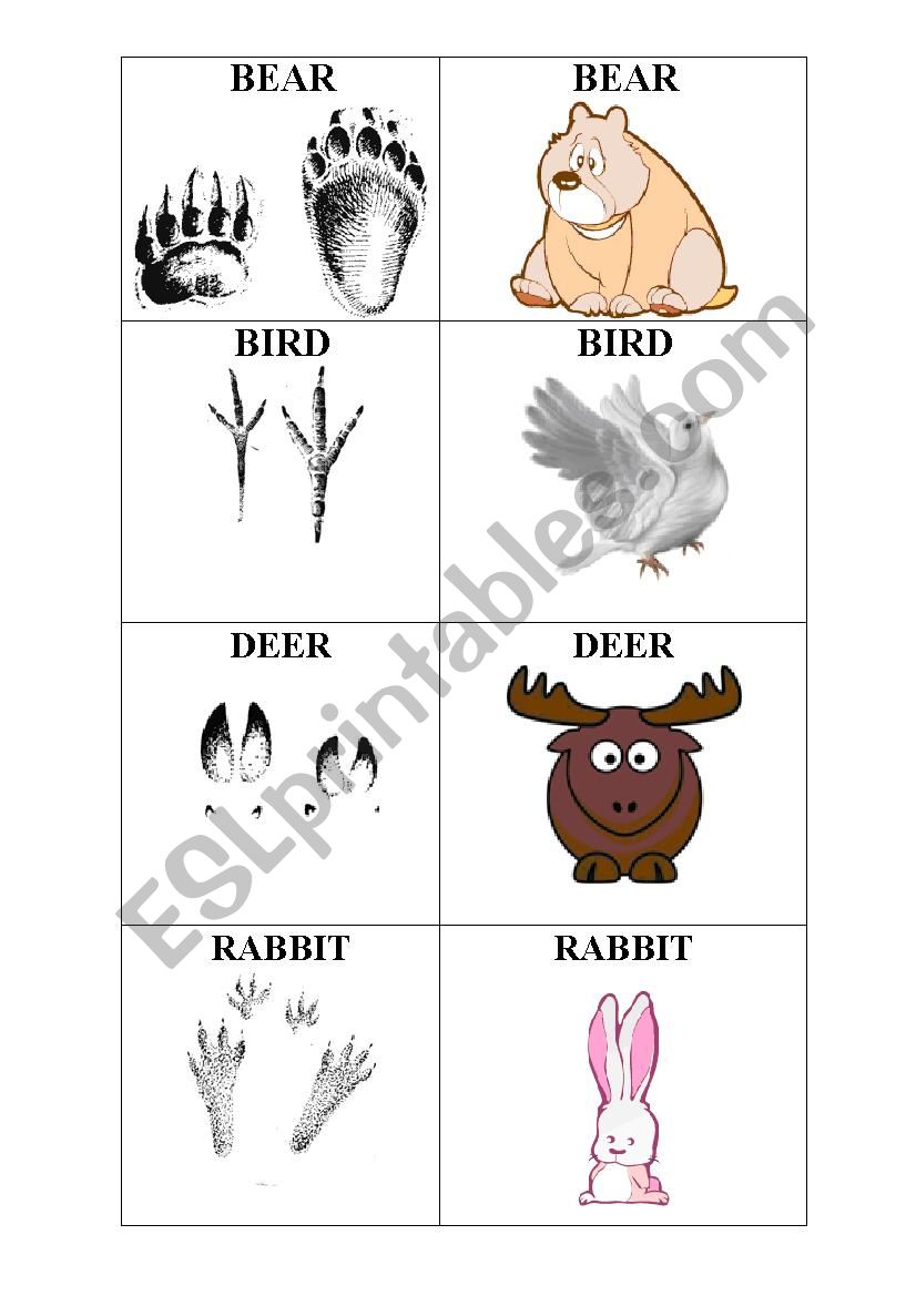 Animals and their tracks worksheet
