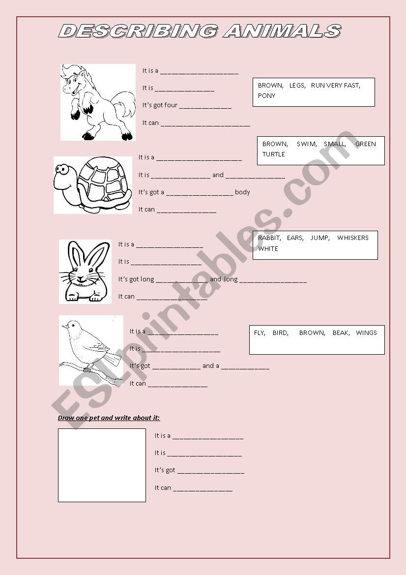 PETS  worksheet