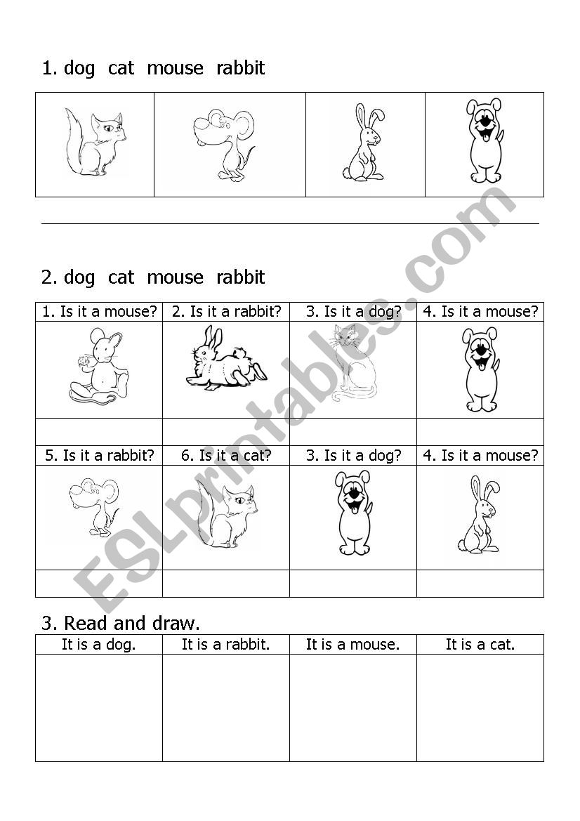 Basic pets worksheet