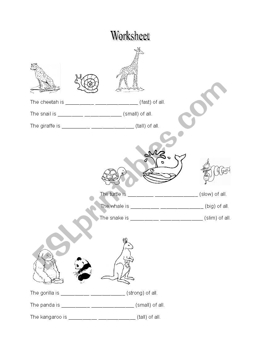 Wild Animals worksheet
