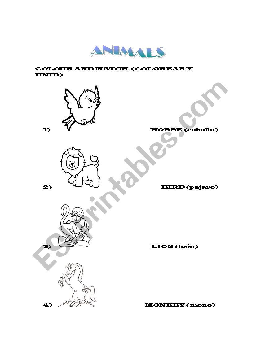 Match to the correct animal worksheet