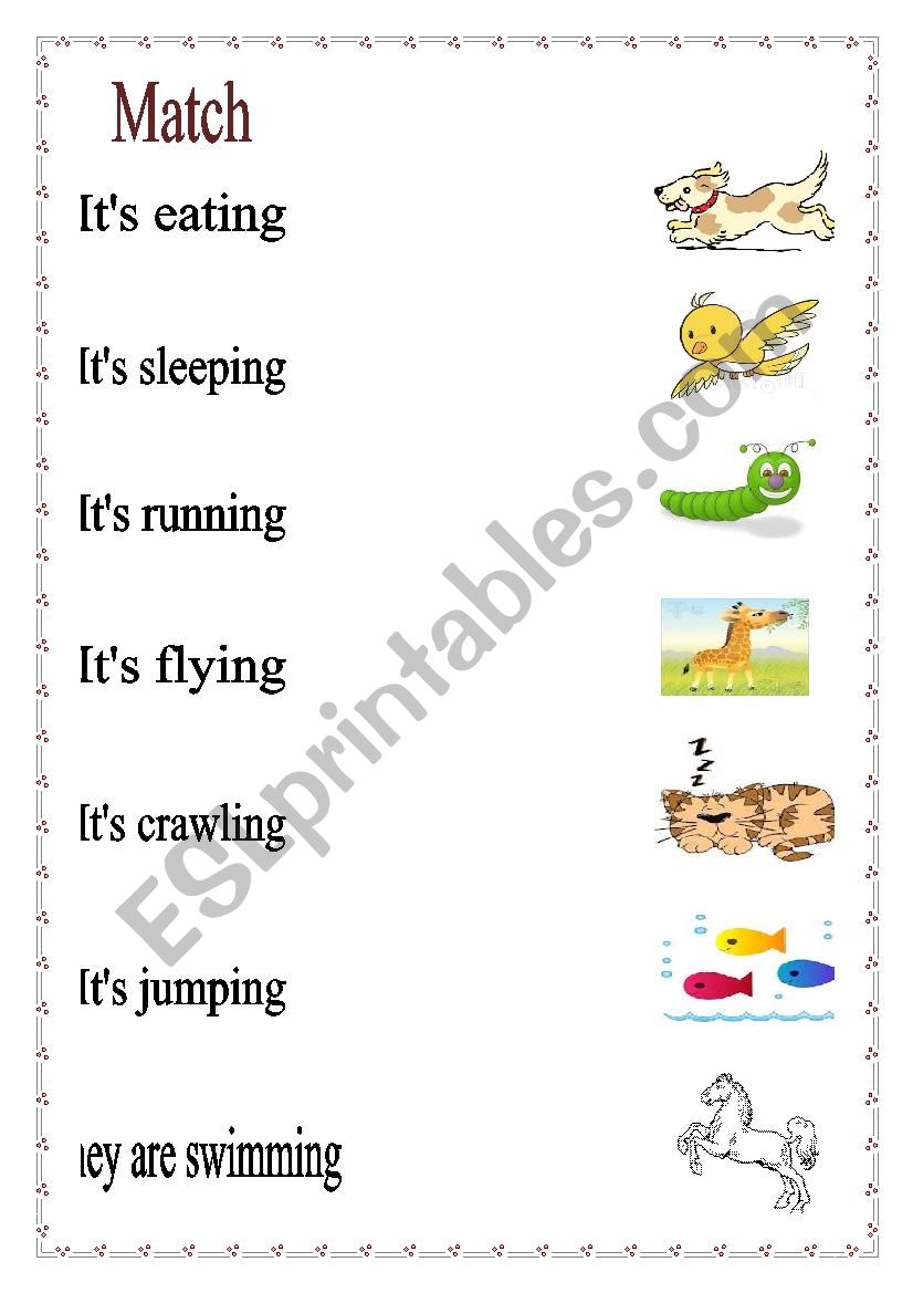 animals worksheet