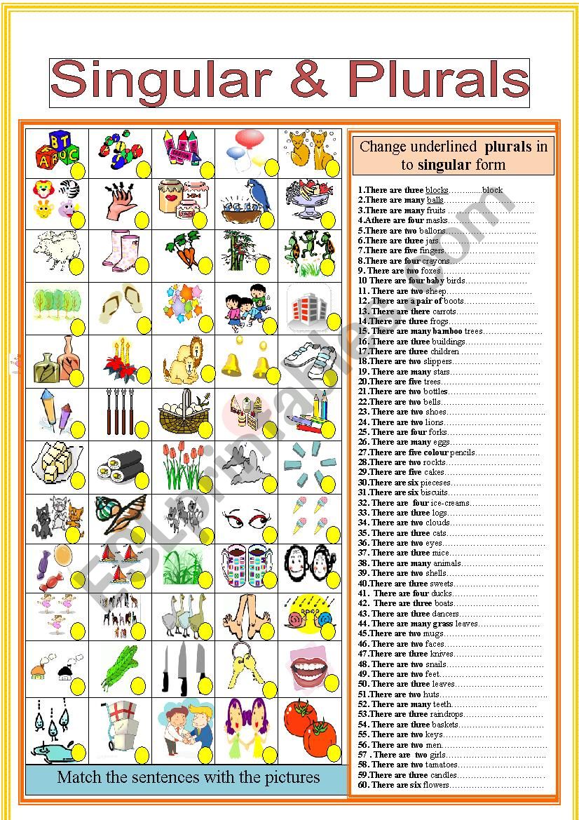 Singular and Plural worksheet