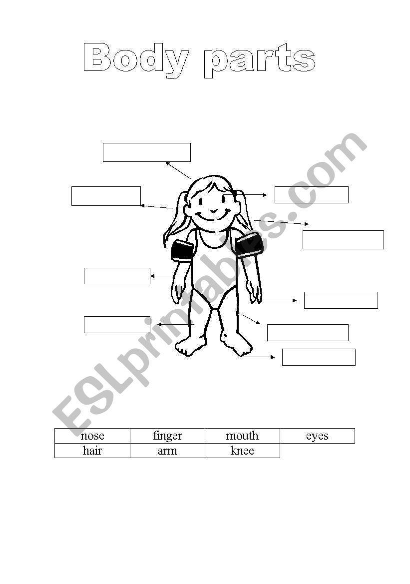 body parts worksheet