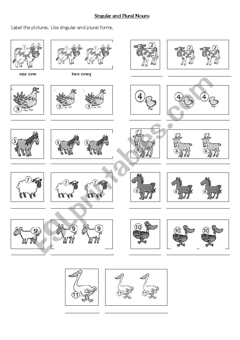 Singular and Plural Nouns - Animals - ESL worksheet by Romhy