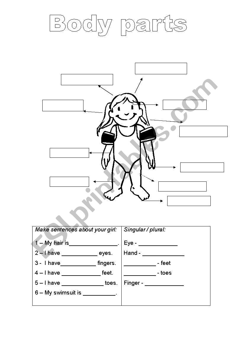body parts/plurals worksheet