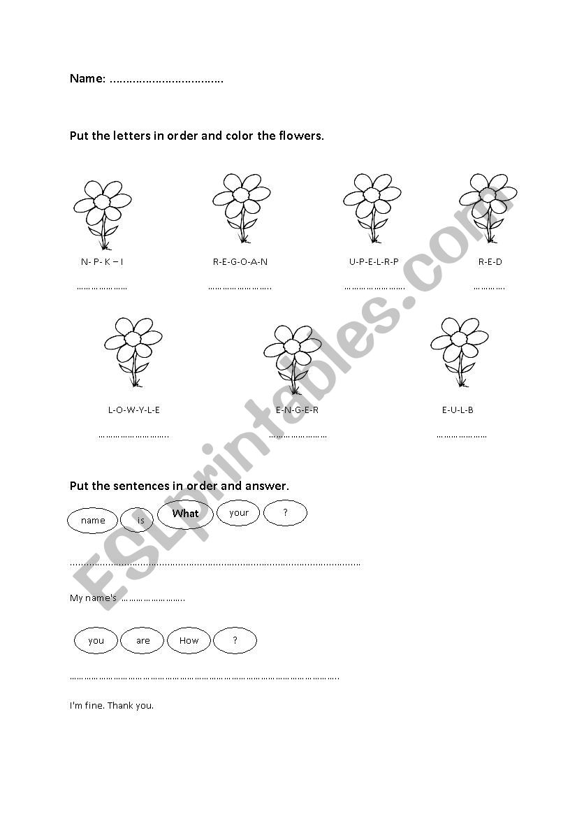 WH questions worksheet